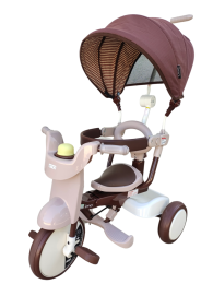 iimo Folding Tricycle with Canopy(D0102HEB8GY)